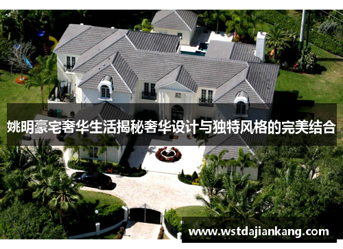姚明豪宅奢华生活揭秘奢华设计与独特风格的完美结合