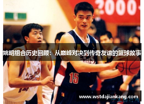姚明组合历史回顾：从巅峰对决到传奇友谊的篮球故事