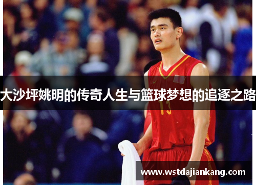 大沙坪姚明的传奇人生与篮球梦想的追逐之路
