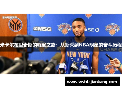 米卡尔布里奇斯的崛起之路：从新秀到NBA明星的奋斗历程