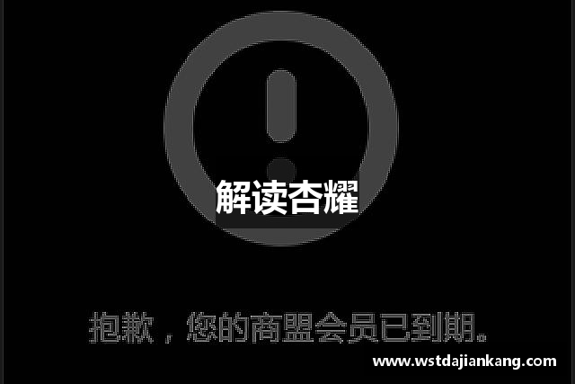 解读杏耀